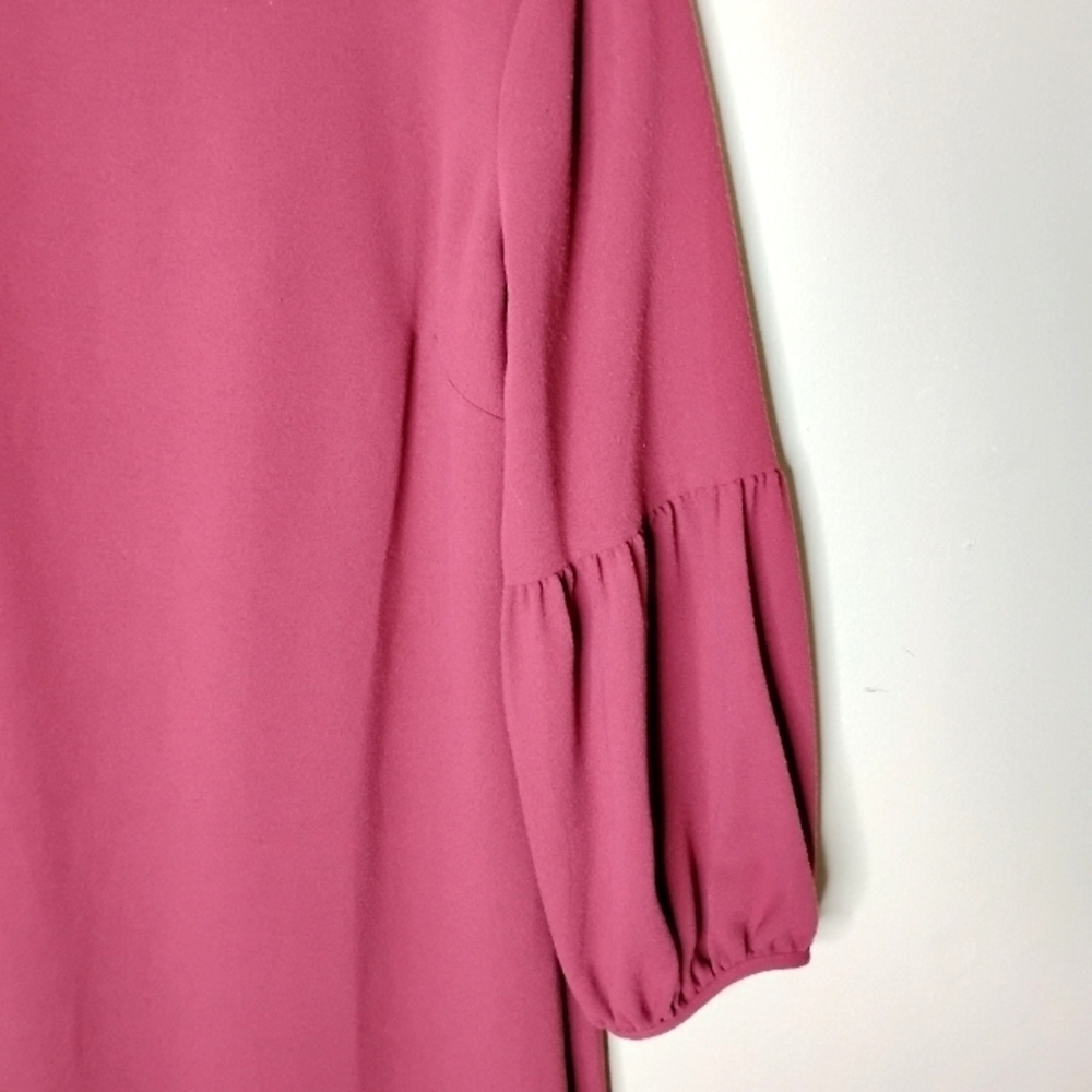 NWT Ann Taylor Shift Dress - Picture 6 of 11